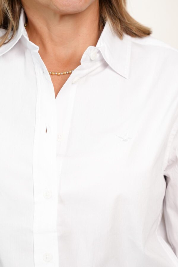 CAMISA LISA CLASSIC