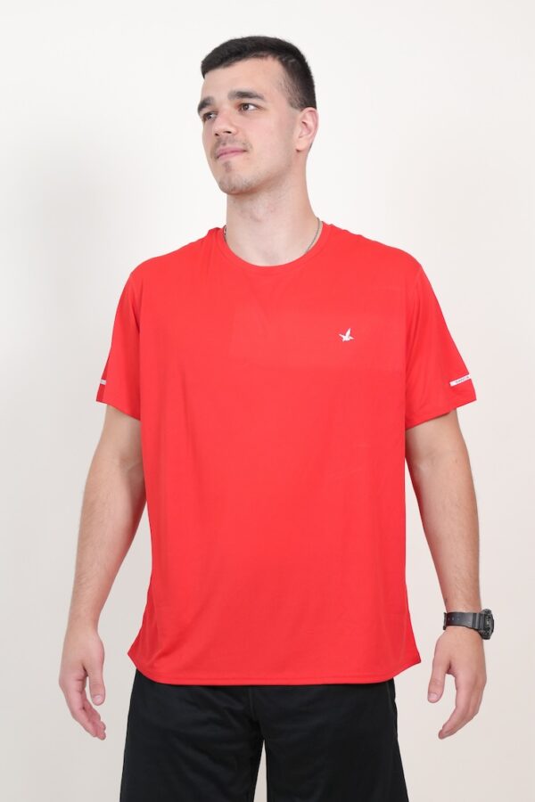 REMERA SBO DRY 3
